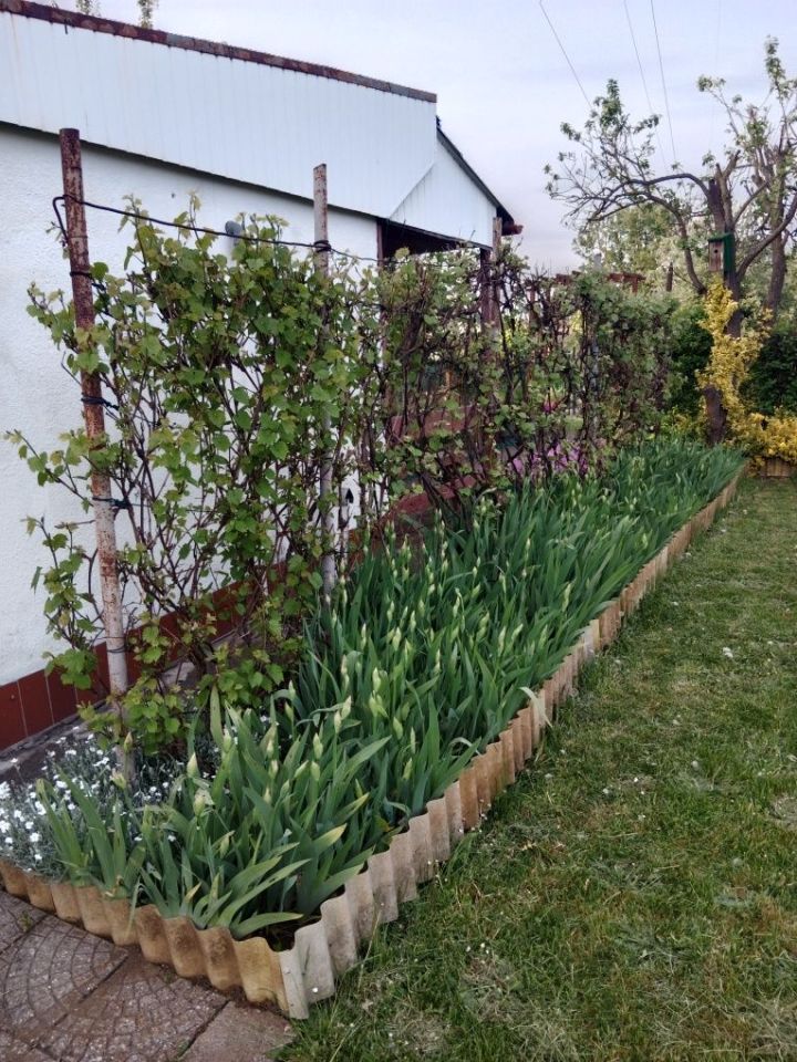 Działka rod Kędzierzyn-Koźle Kuźniczka. Zdjęcie 5