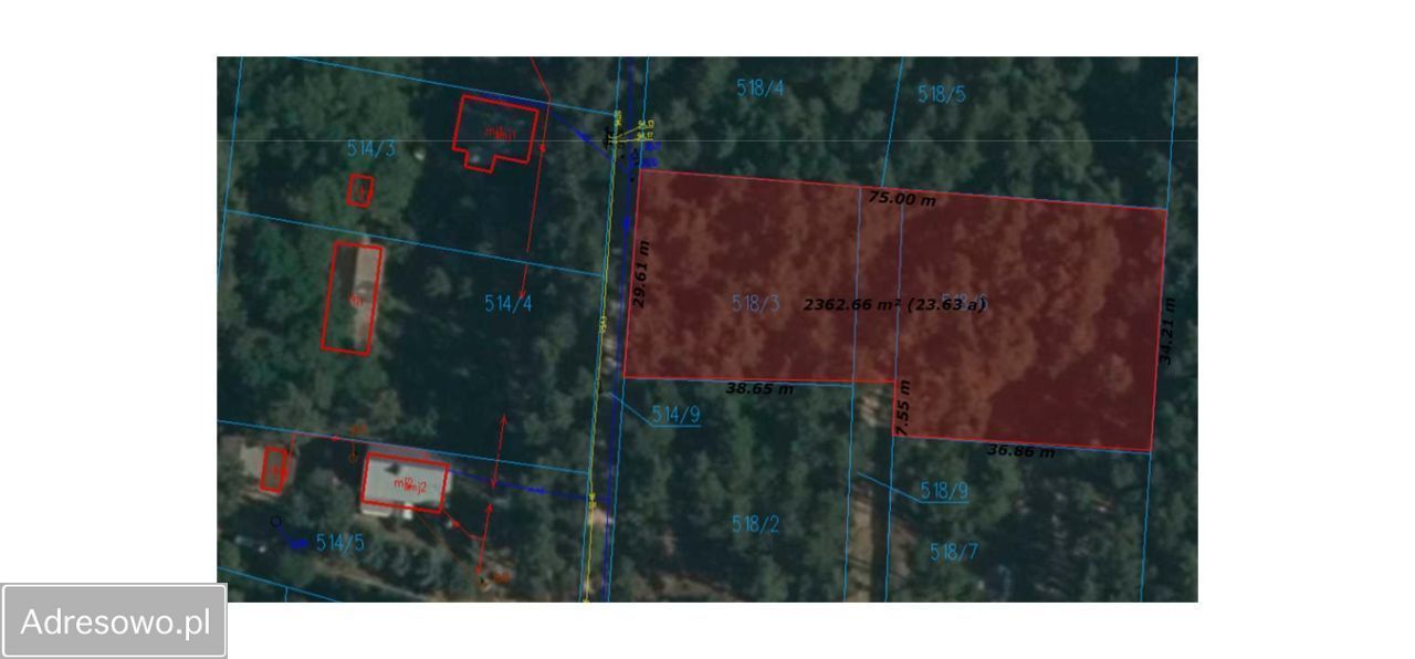 Działka leśna Słopsk. Zdjęcie 4