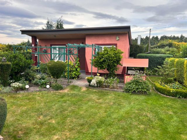 Działka rod Jagodowo osada leśna. Zdjęcie 1