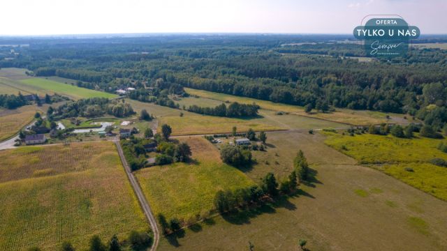 Działka siedliskowa Kiki. Zdjęcie 26