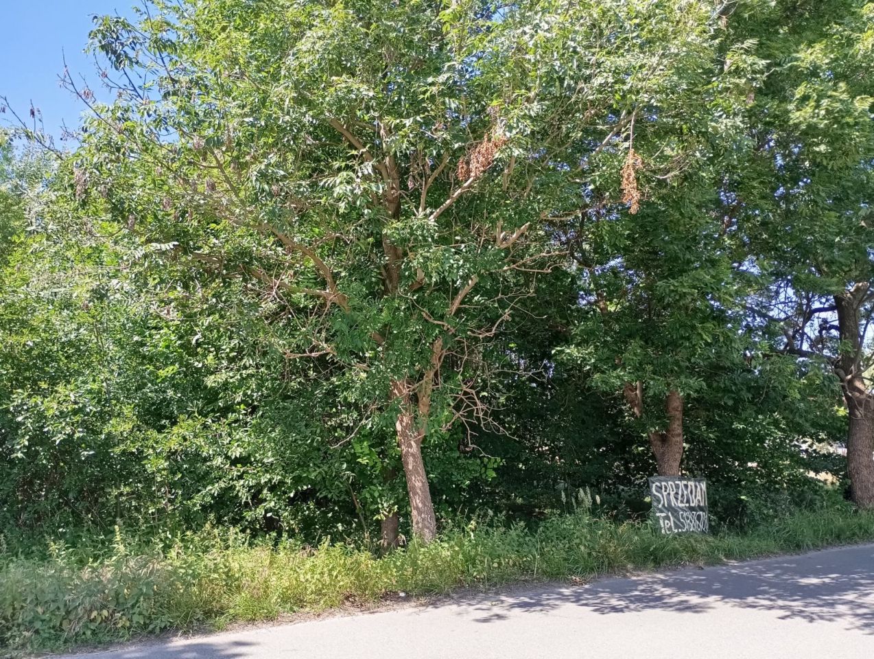 Działka budowlana Mokra Lewa. Zdjęcie 3