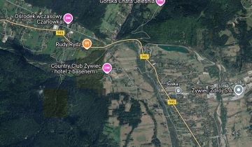 Działka leśna Sopotnia Mała Lnisko