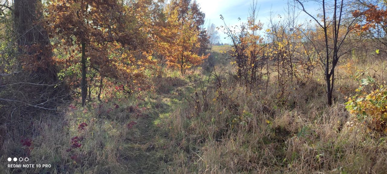 Działka budowlana Lipiany, ul. Małcz. Zdjęcie 9