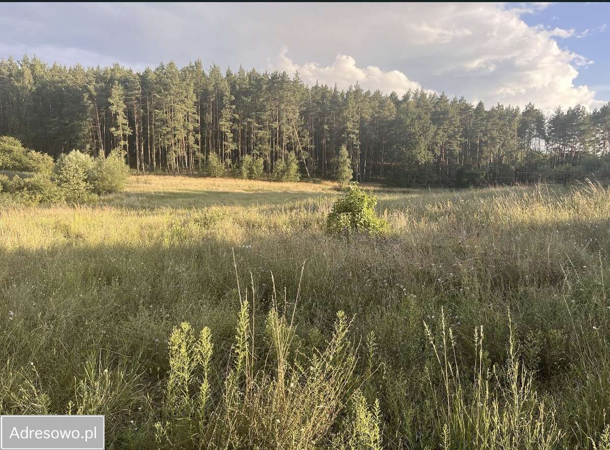 Działka budowlana Żórawie, ul. Morelowa. Zdjęcie 6