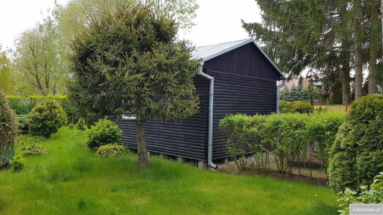 Działka rod Nadarzyn, ul. Żółwińska. Zdjęcie 7