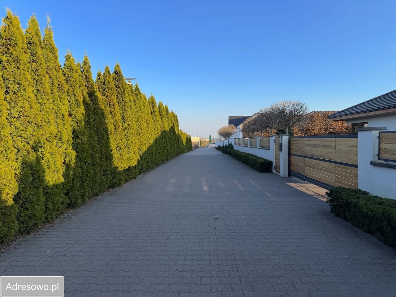 Działka budowlana Plewiska. Zdjęcie 5