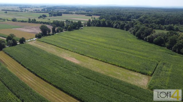 Działka budowlana Borzęcin. Zdjęcie 6