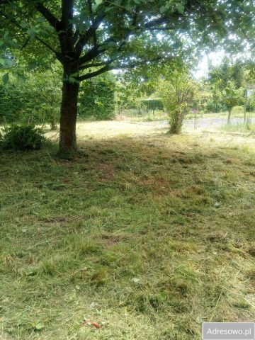 Działka rod Prudnik. Zdjęcie 1