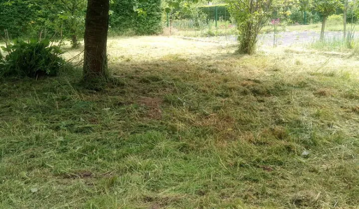 Działka rod Prudnik