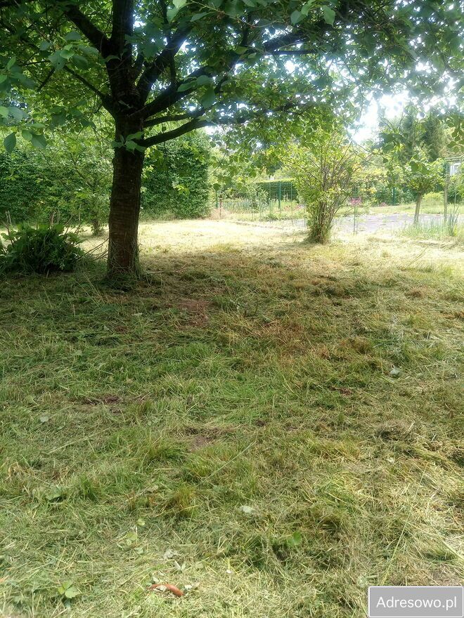 Działka rod Prudnik