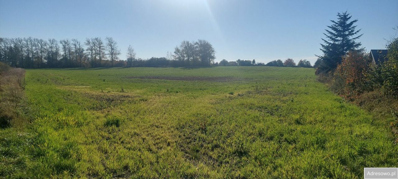 Działka rolna Darłowo. Zdjęcie 5