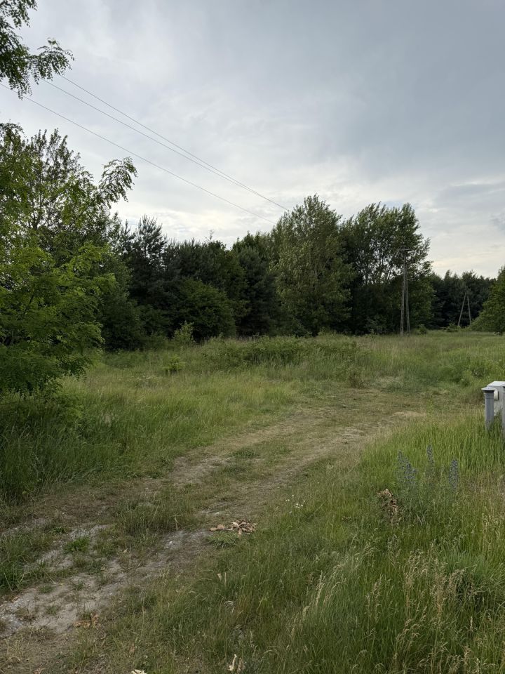 Działka inwestycyjna Dąbrowa Chełmińska, ul. Bazowa. Zdjęcie 6
