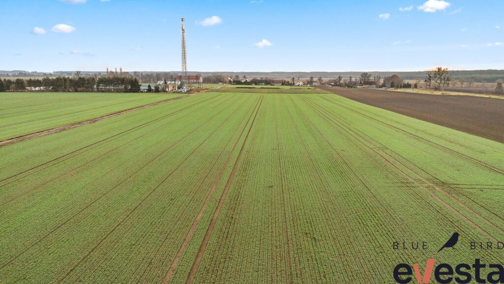 Działka budowlana Miłocice. Zdjęcie 5