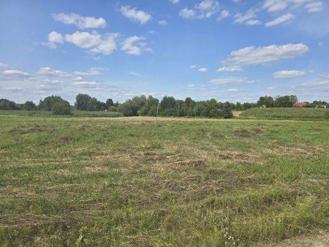 Działka budowlana Jedlanka Stara. Zdjęcie 1