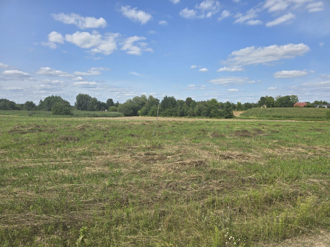 Działka budowlana Jedlanka Stara. Zdjęcie 1