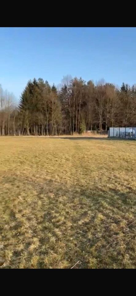 Działka budowlana Żółwin, ul. Rozlewisko. Zdjęcie 6