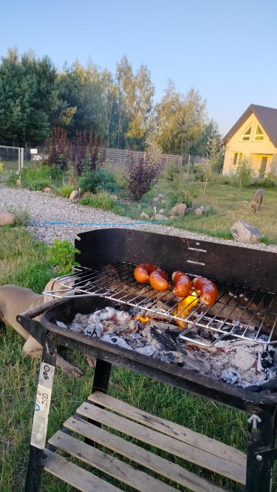 Działka rekreacyjna Radzynek. Zdjęcie 21