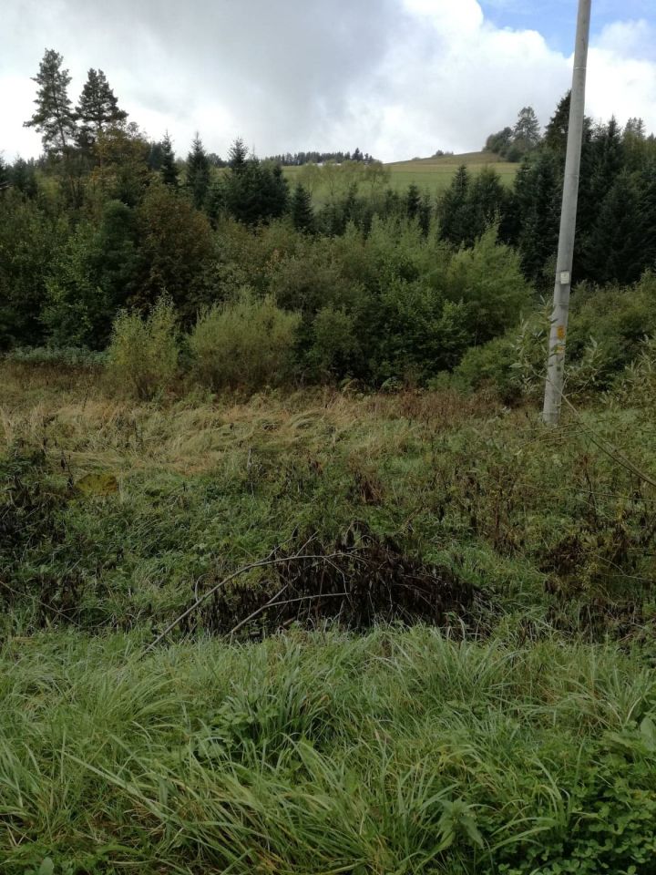 Działka rolna Berest. Zdjęcie 4