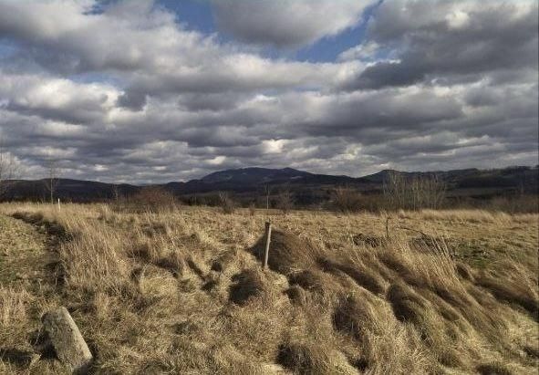 Działka rolna Puńców. Zdjęcie 3