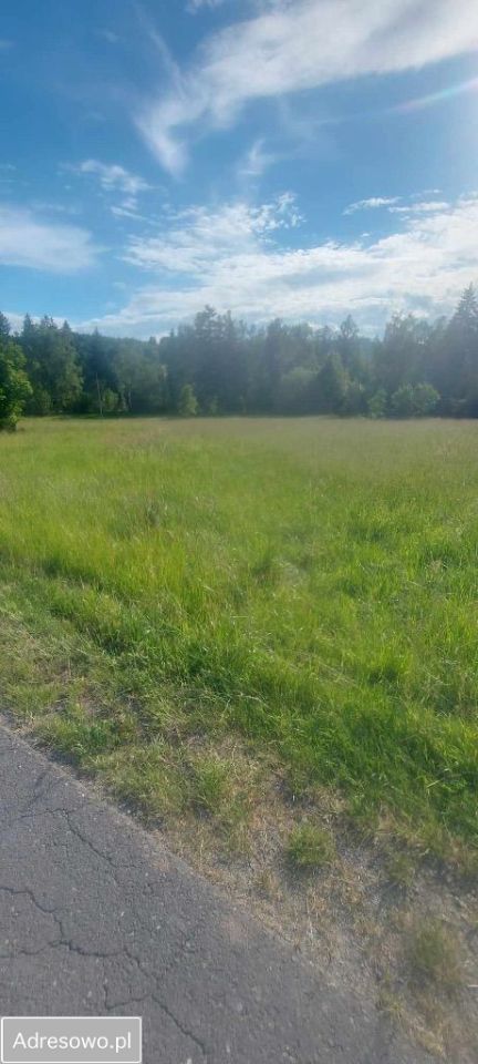 Działka budowlana Świerki. Zdjęcie 2