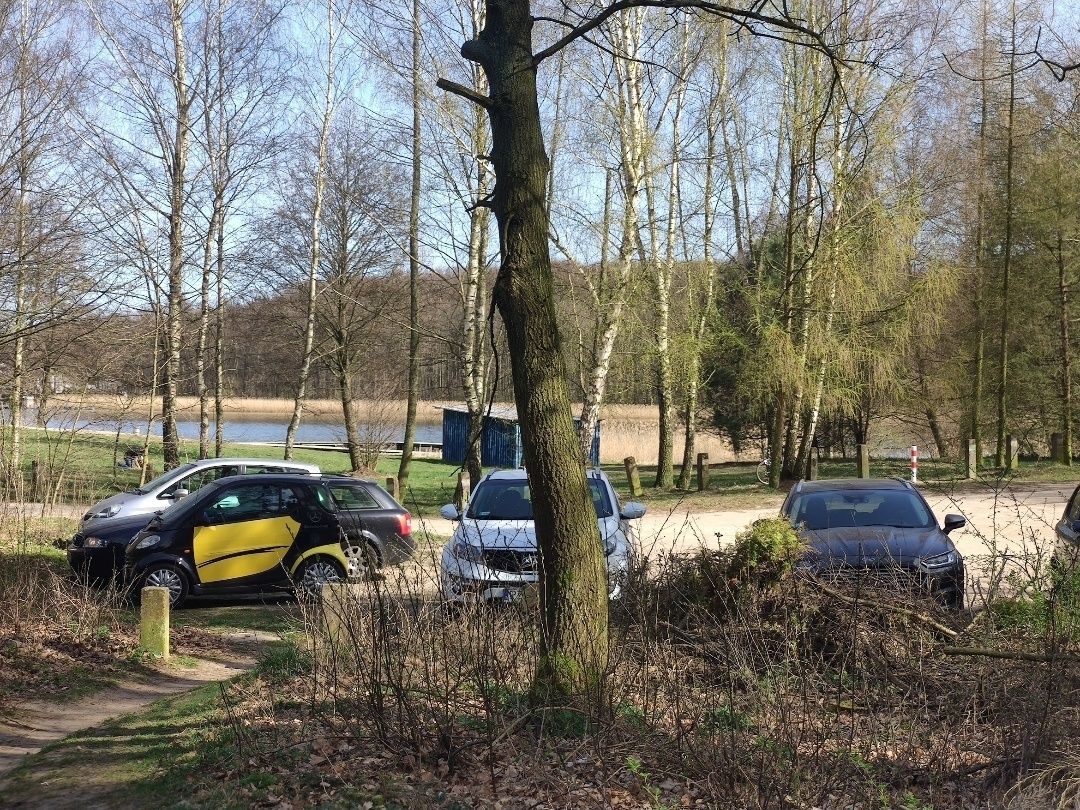 Działka rod Złotów. Zdjęcie 3