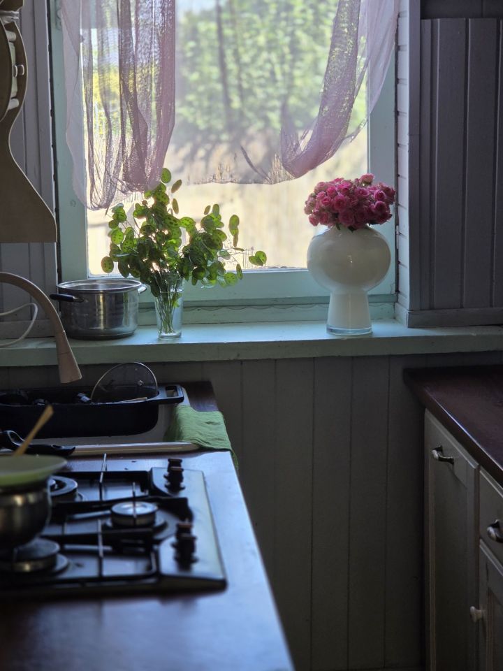 dom letniskowy Raszyn. Zdjęcie 4