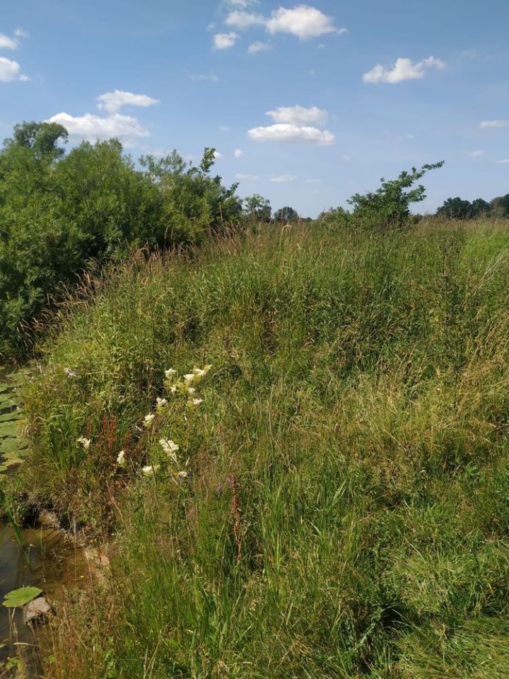Działka rolna Jawiszowice. Zdjęcie 2