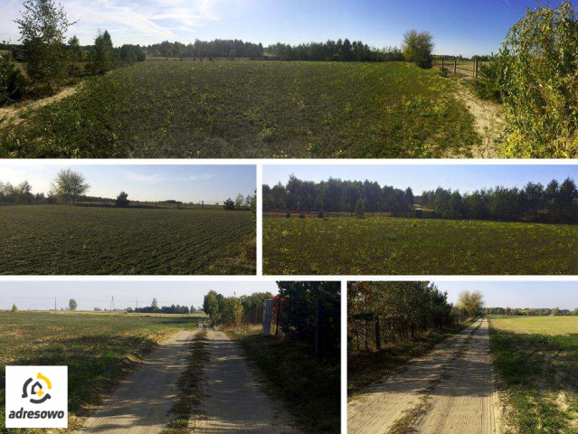 Działka rolna Ługowiska. Zdjęcie 1