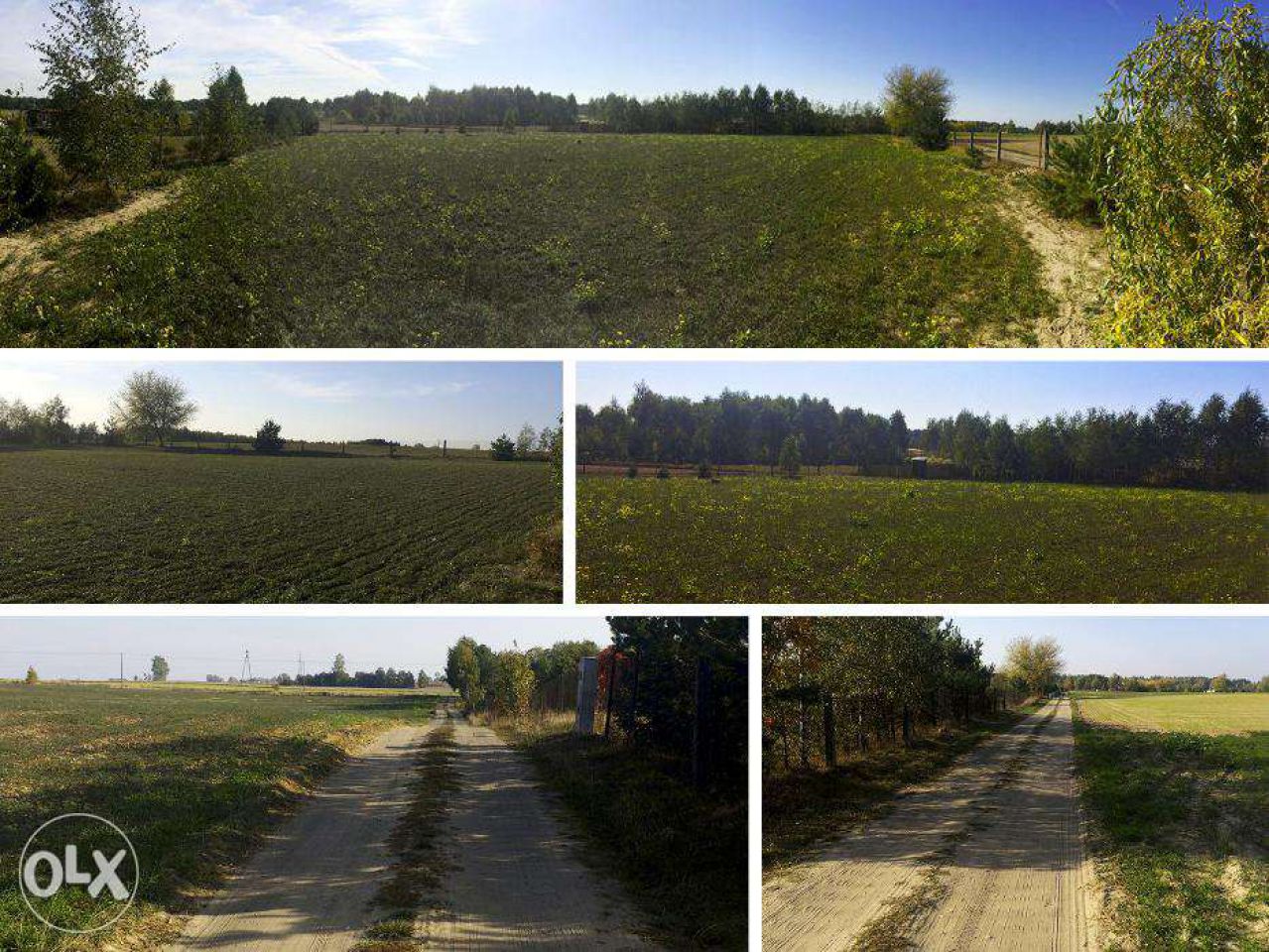 Działka rolna Ługowiska