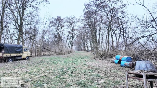 dom, 6 pokoi Spławie. Zdjęcie 4