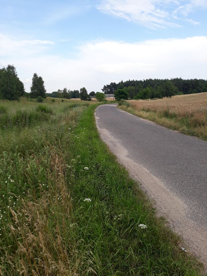 Działka rolno-budowlana Rzeczków. Zdjęcie 9