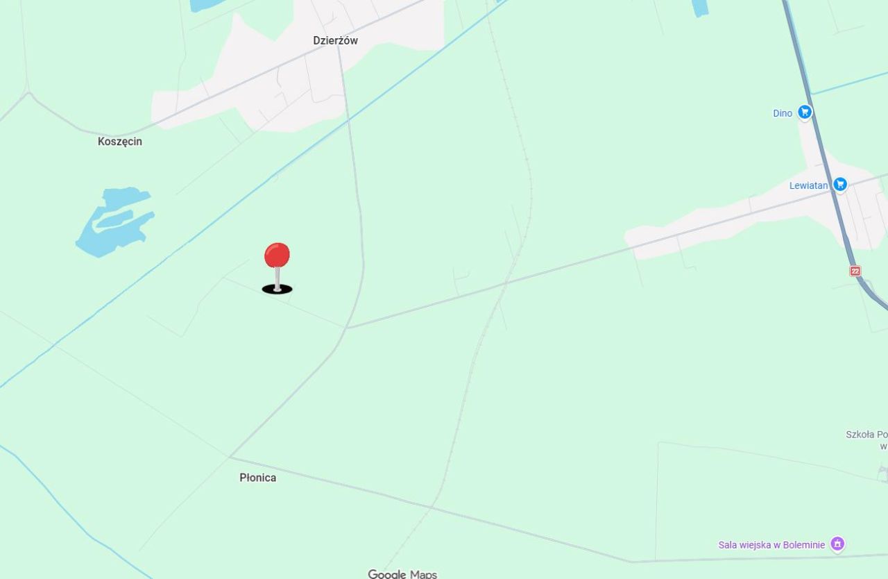 Działka rolna Dzierżów, Dzierżów. Zdjęcie 2