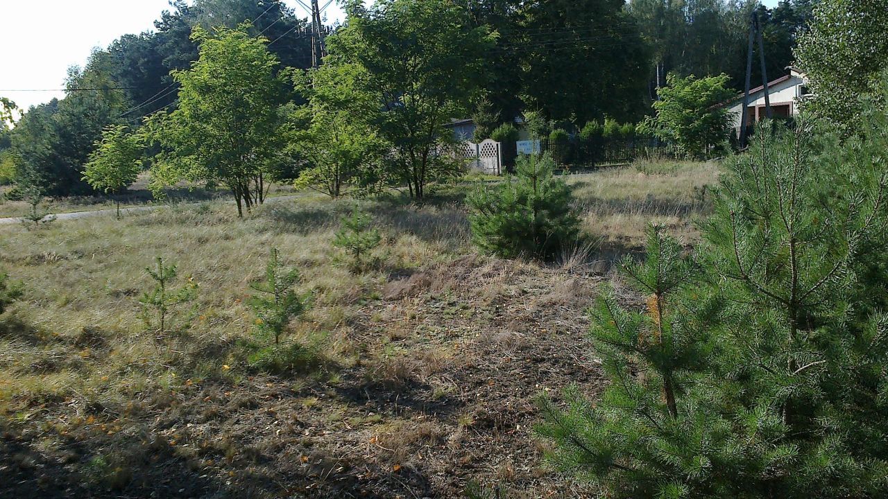 Działka rolno-budowlana Dębniak, ul. Wiśniowa. Zdjęcie 8