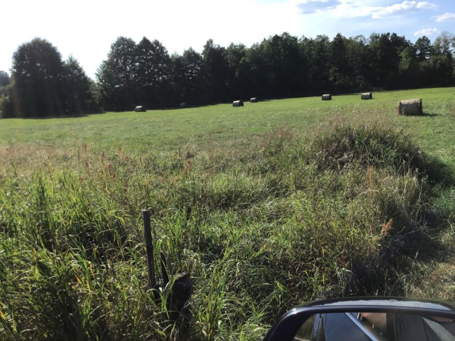 Działka rolna Stare Kiełbonki. Zdjęcie 3