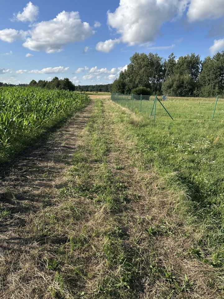 Działka budowlana Świniary Borowna. Zdjęcie 4