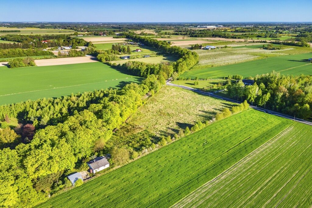 Działka budowlana Pasikonie. Zdjęcie 8
