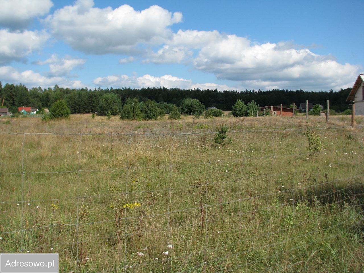 Działka siedliskowa Strękowizna. Zdjęcie 2