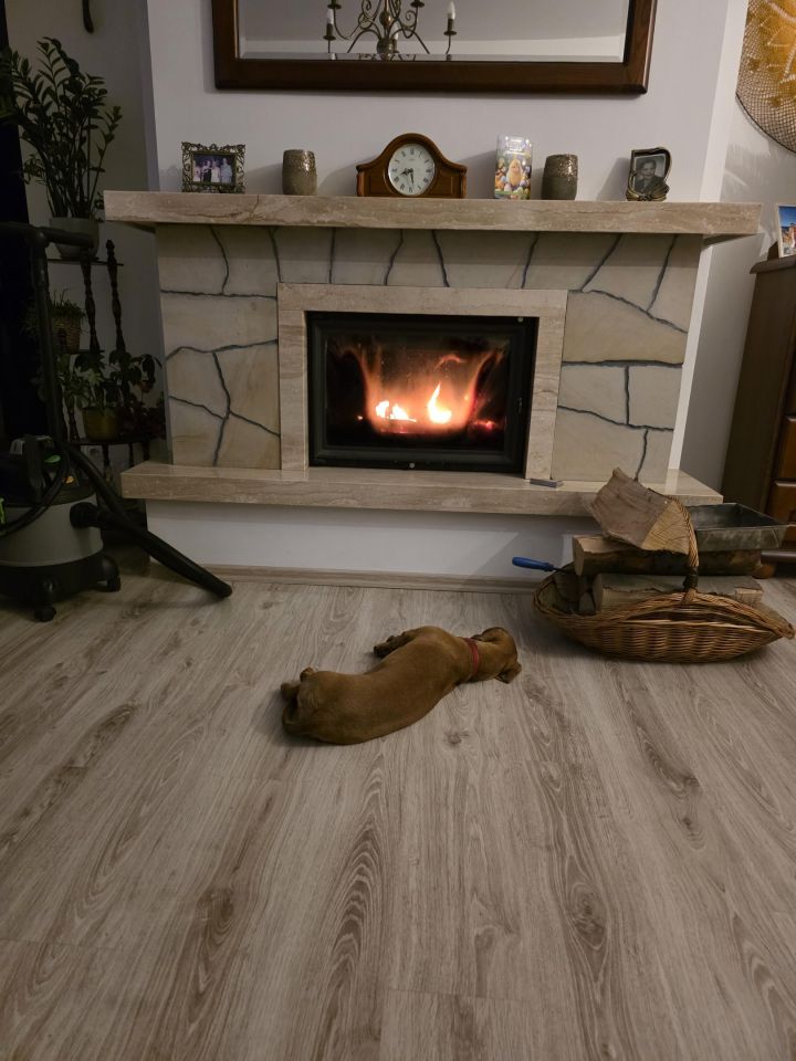 dom wolnostojący, 4 pokoje Jaszkowa Dolna, ul. Akacjowa. Zdjęcie 2