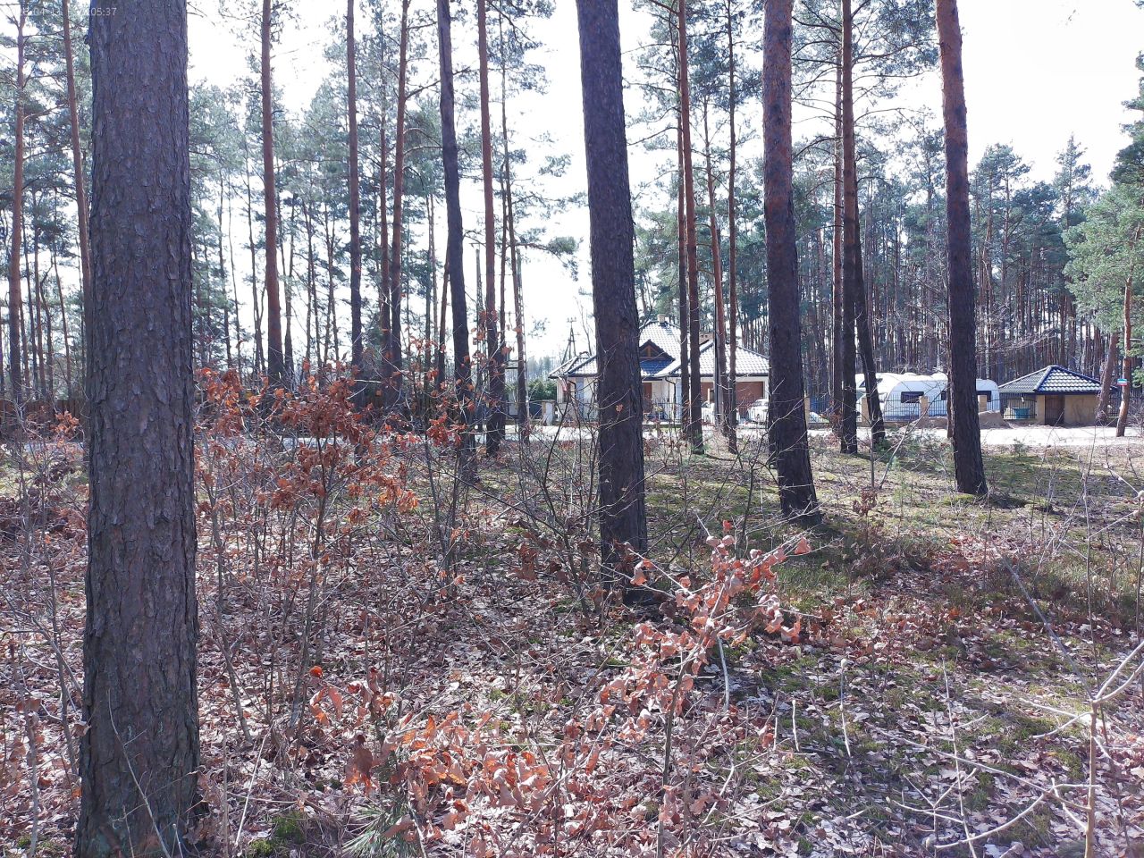 Działka budowlana Marynino, Sosnowa. Zdjęcie 10