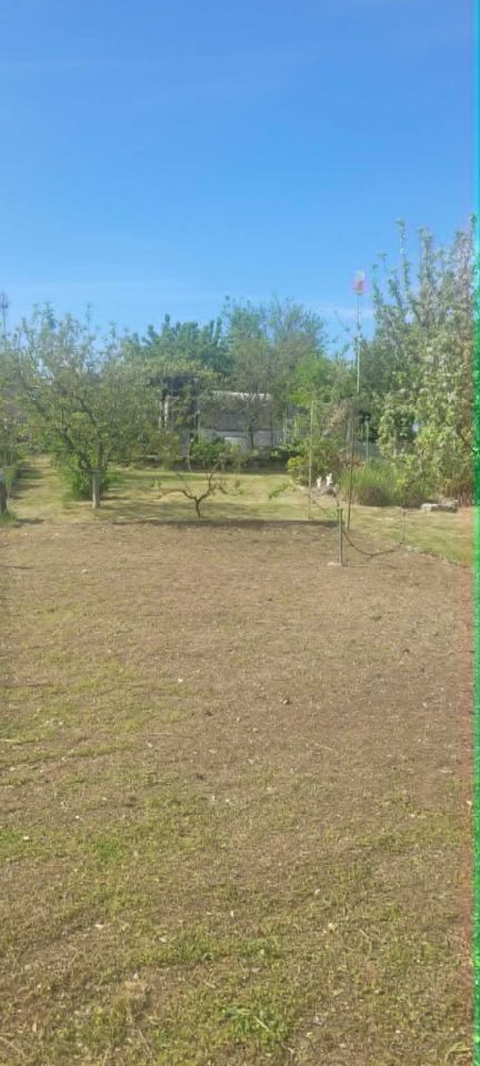 Działka rod Pełczyce. Zdjęcie 7