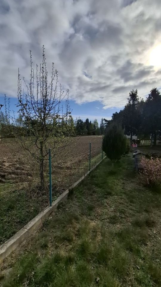 Działka rolno-budowlana Magnuszew Duży. Zdjęcie 5