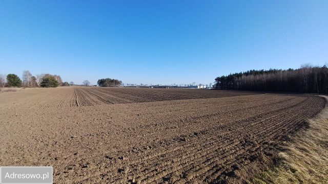 Działka budowlana Serock, ul. Graniczna. Zdjęcie 1