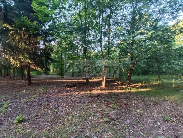 Działka budowlana Sulejówek Ratajewo. Zdjęcie 6