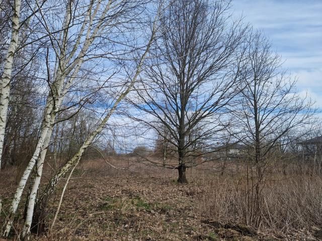 Działka budowlana Stare Lipiny, ul. Smugi. Zdjęcie 2