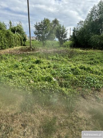 Działka rolno-budowlana Nasiegniewo. Zdjęcie 1