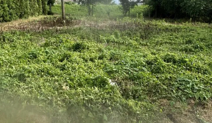 Działka rolno-budowlana Nasiegniewo