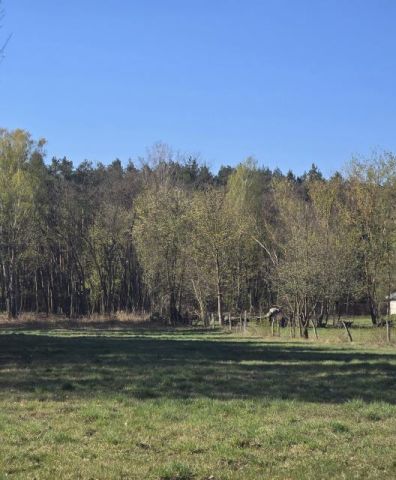 Działka budowlana Wołomin Mironowe Górki. Zdjęcie 3