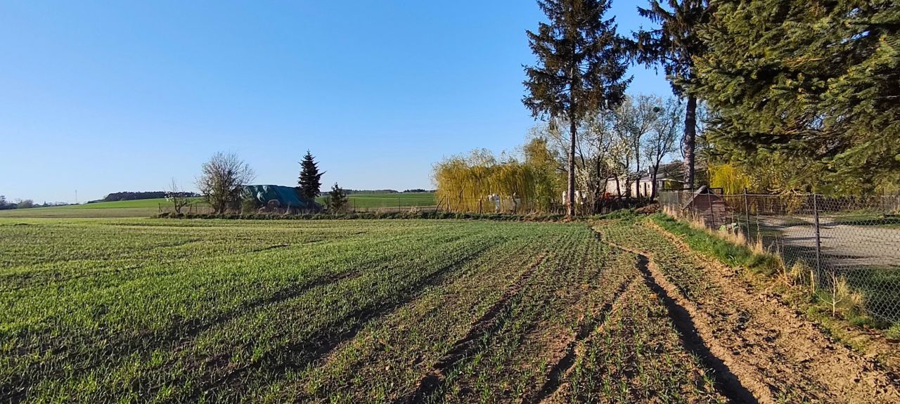 Działka budowlana Sumin. Zdjęcie 3