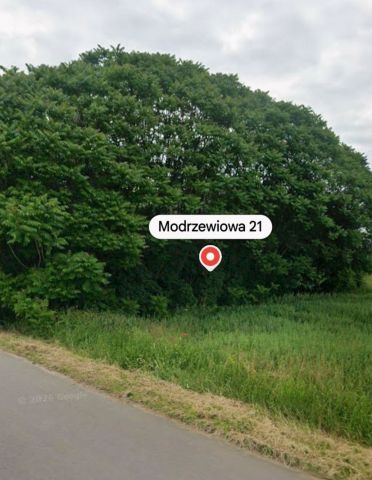 Działka rolno-budowlana Więckowice. Zdjęcie 1