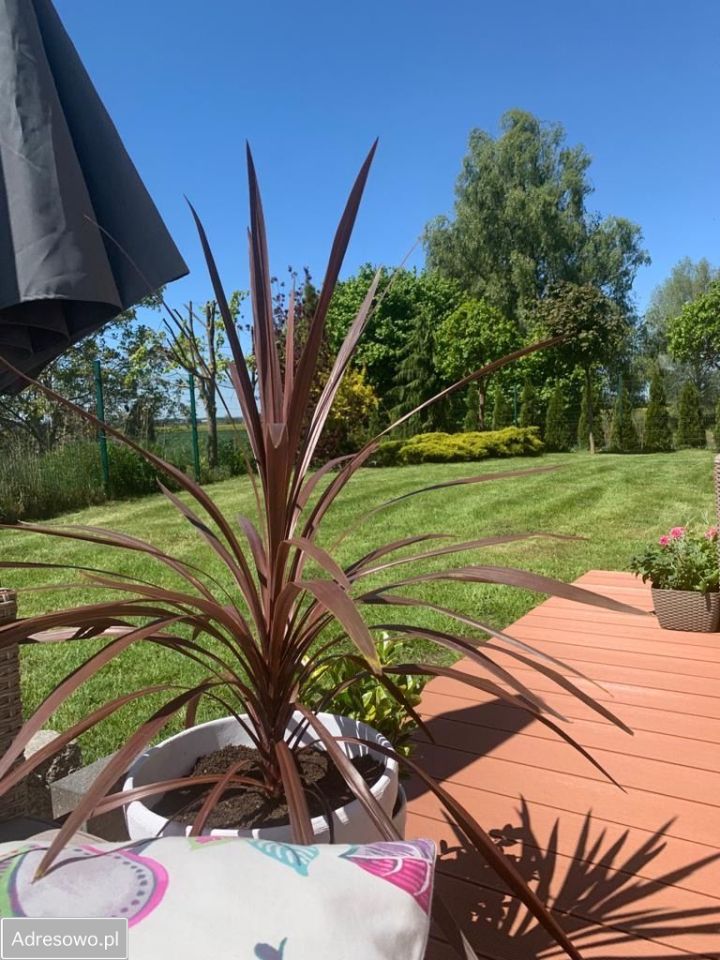 Mieszkanie 3-pokojowe Tczewskie Łąki, ul. Zajączkowska. Zdjęcie 12